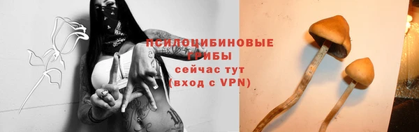 PSILOCYBIN Шарыпово