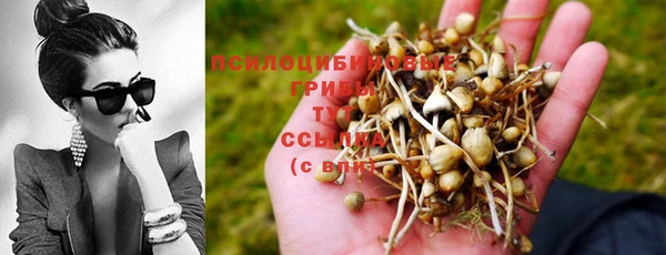 соль курить ск Елабуга
