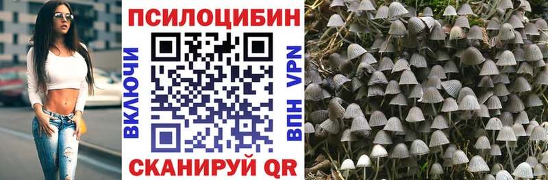 Псилоцибиновые грибы MAGIC MUSHROOMS  Купить закладки  Лыткарино 