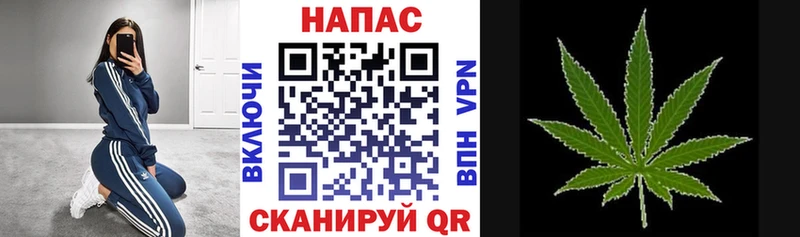 Купить  Лыткарино  Бошки Шишки ГИДРОПОН 